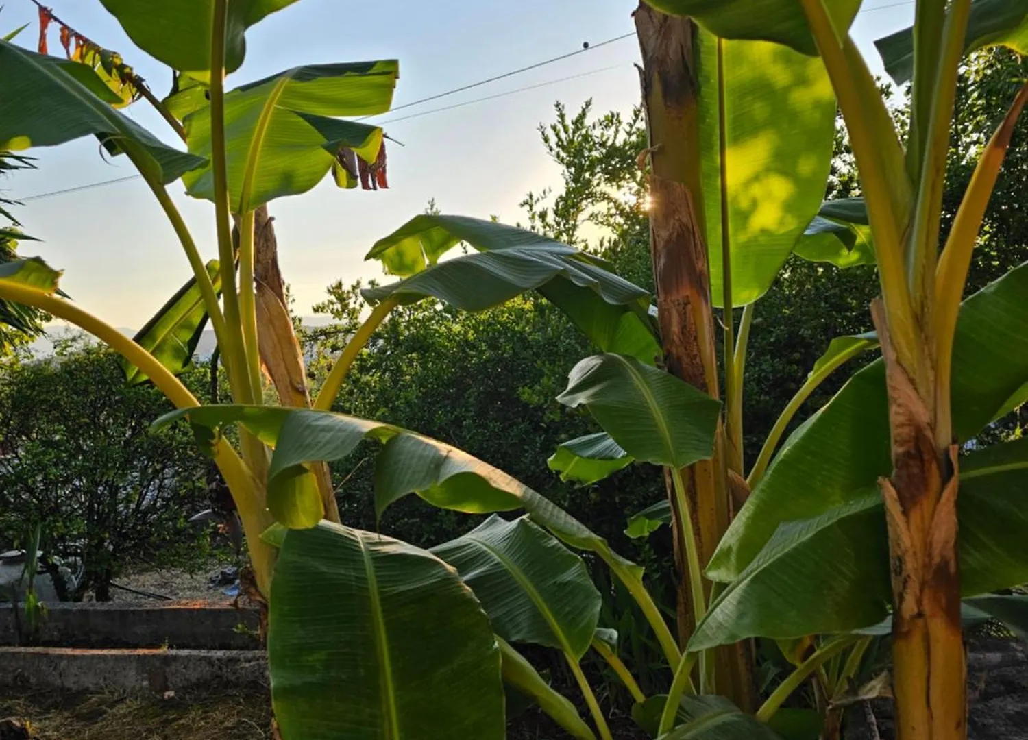 Casa Tani Villa Ksamil Holiday home